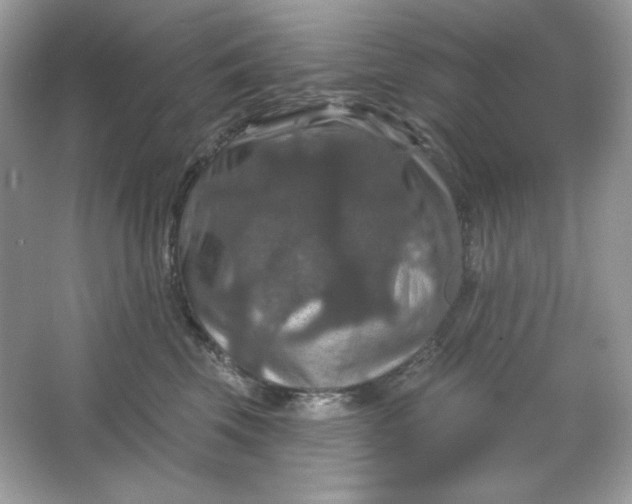 X0000066010569200603171509