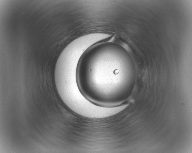 X0000066010570200603171509