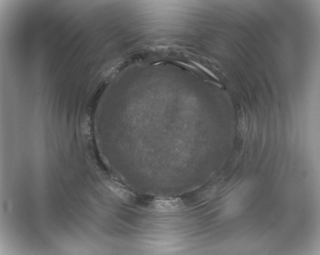 X0000066010571200603171509