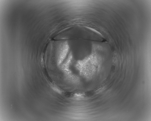 X0000066010573200603171509