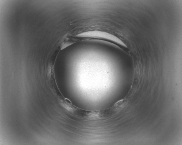 X0000066010574200603171509