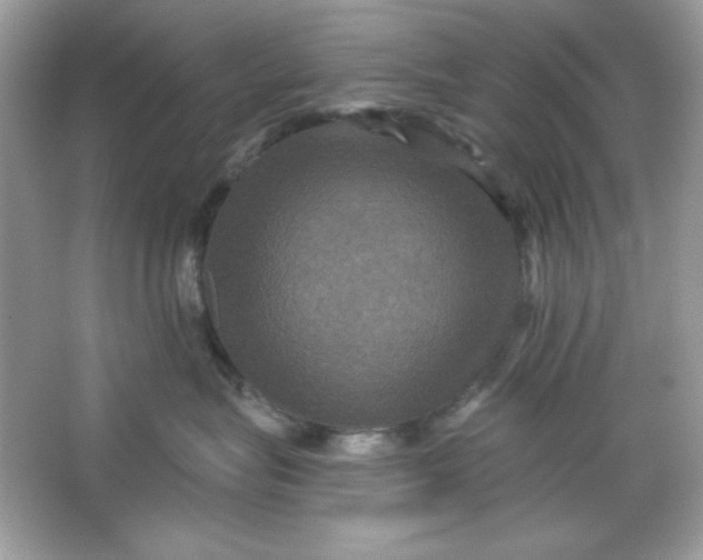 X0000066010575200603171509