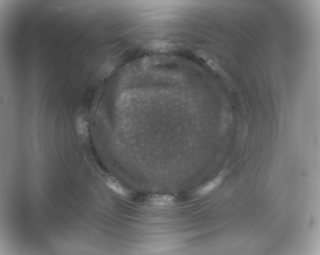 X0000066010576200603171509