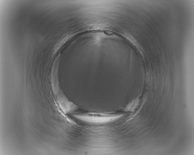 X0000066010577200603171508