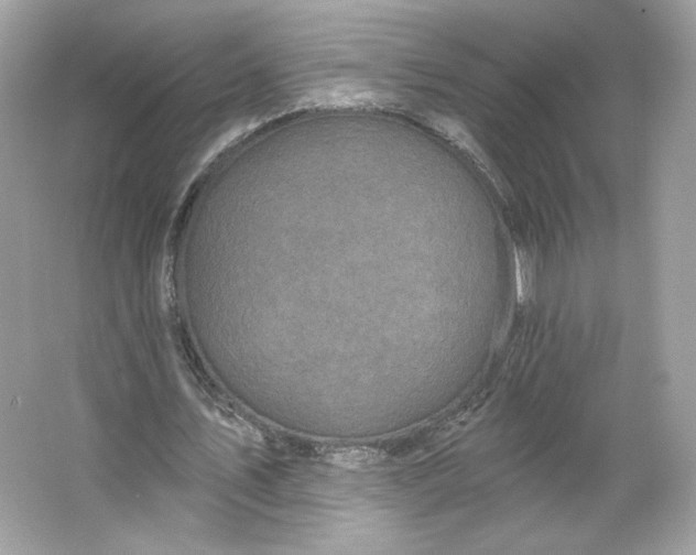 X0000066010579200603171508