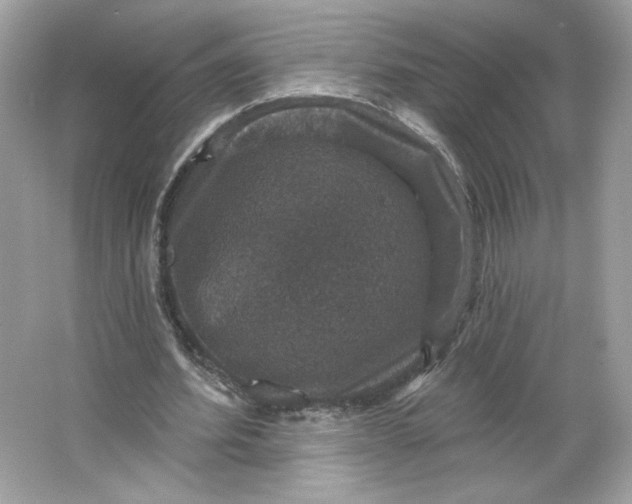 X0000066010580200603171508