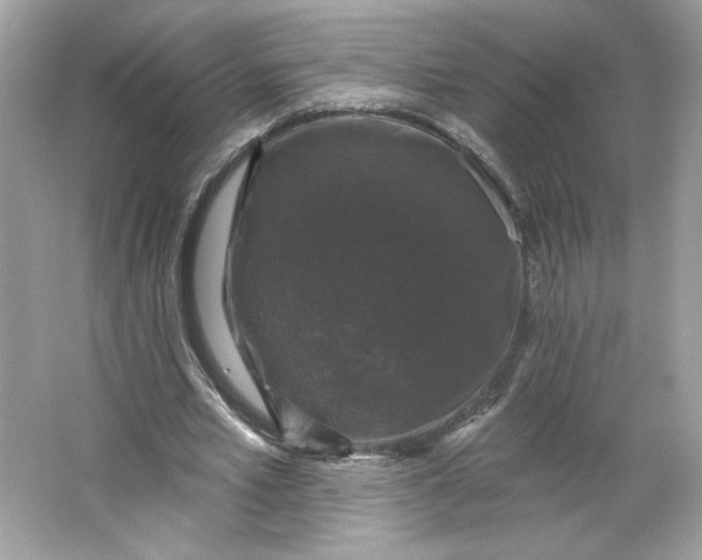 X0000066010581200603171508