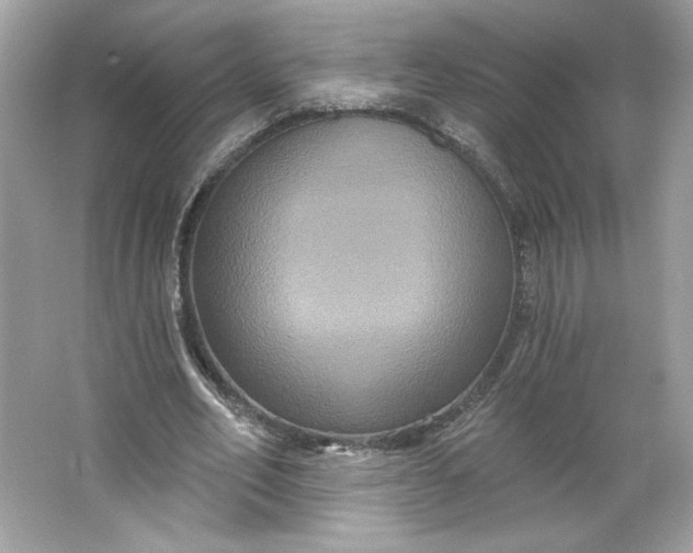 X0000066010582200603171508