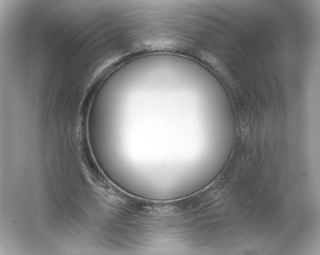 X0000066010583200603171508