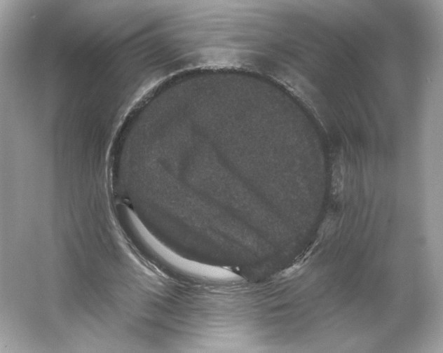 X0000066010584200603171508