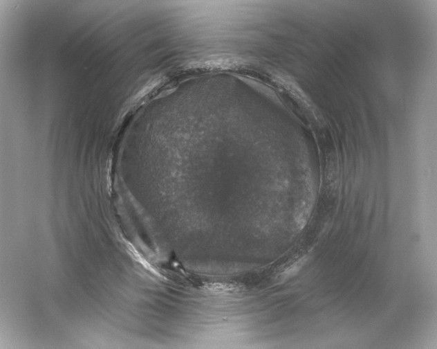 X0000066010585200603171508