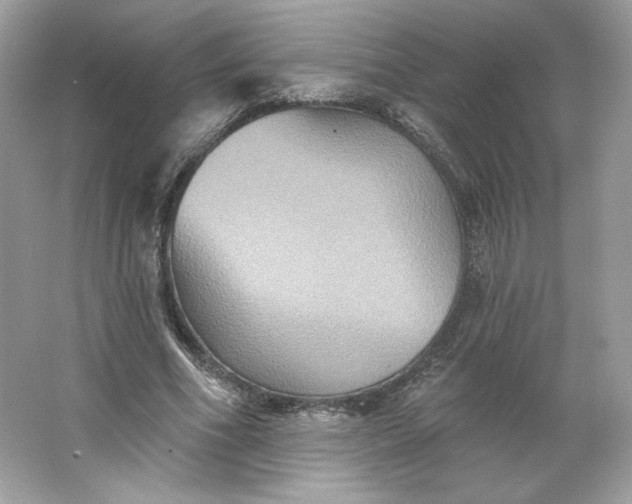 X0000066010586200603171508