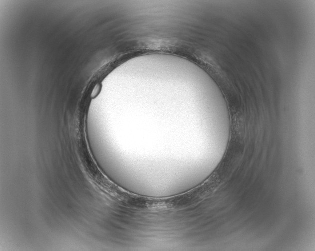 X0000066010587200603171508