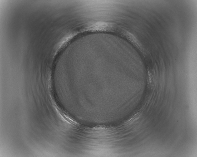 X0000066010588200603171508