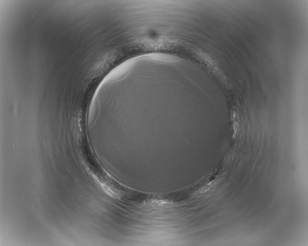 X0000066010590200603171508