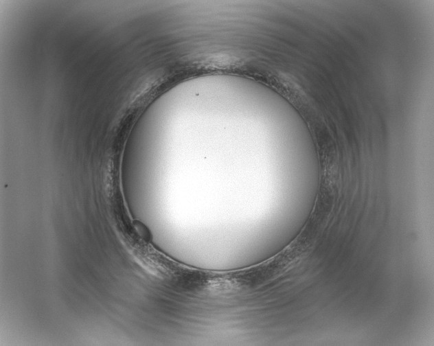 X0000066010591200603171508