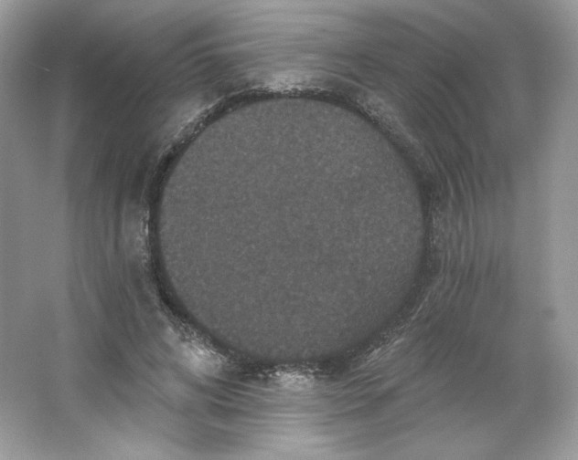 X0000066010592200603171508