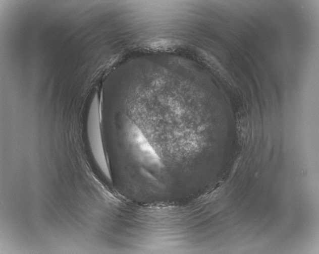 X0000066010593200603171508