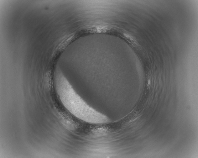 X0000066010594200603171508