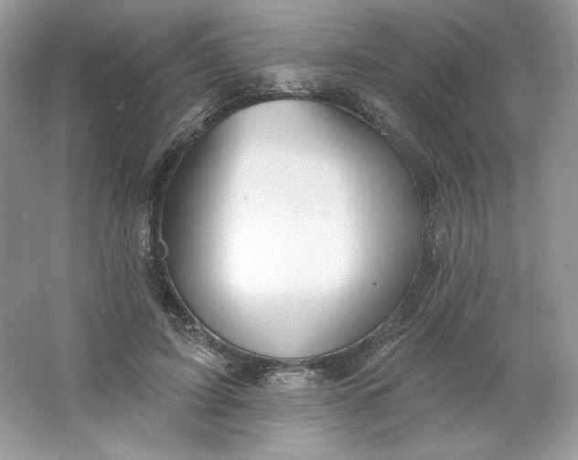 X0000066010595200603171508