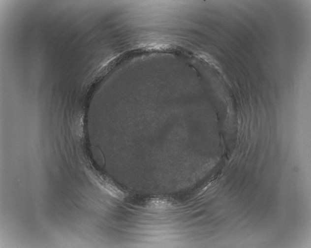 X0000066010596200603171508