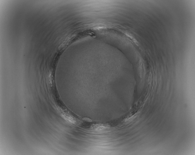 X0000066010597200603171508