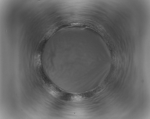 X0000066010598200603171508