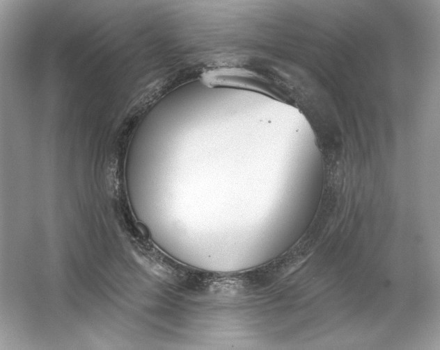 X0000066010599200603171508