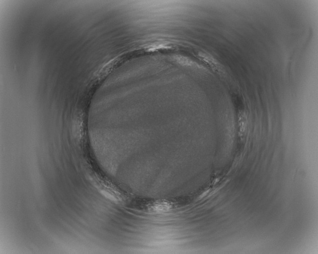 X0000066010600200603171508