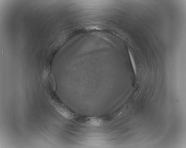 X0000066010601200603171508