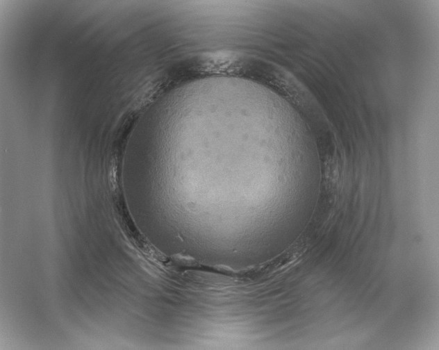 X0000066010602200603171508