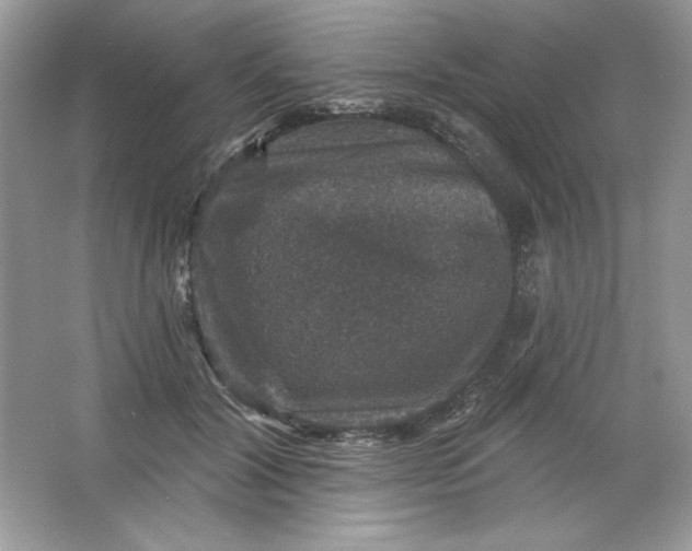 X0000066010604200603171508