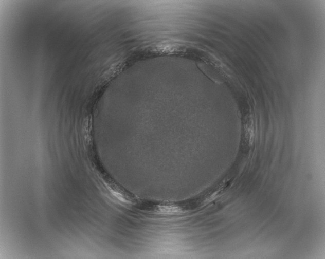 X0000066010605200603171508