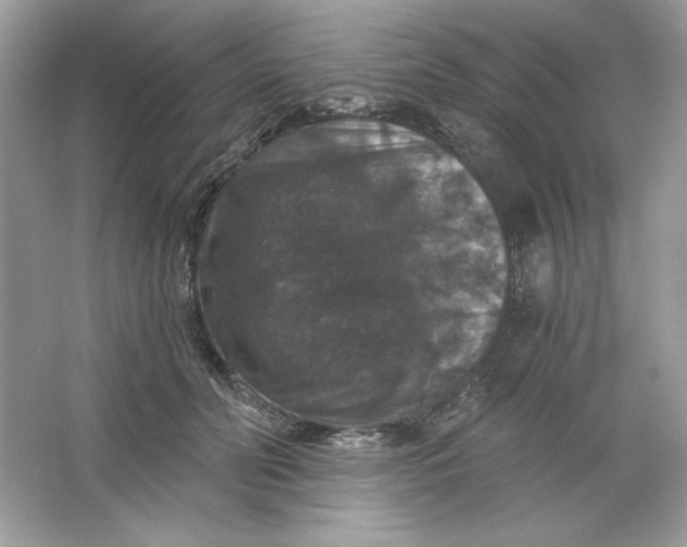 X0000066010606200603171508