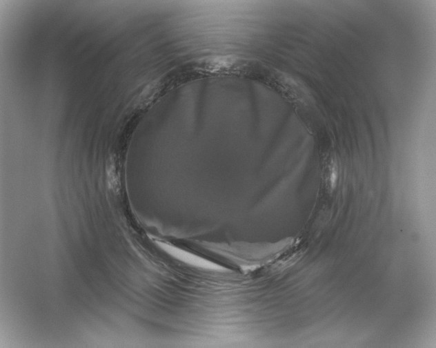 X0000066010607200603171508