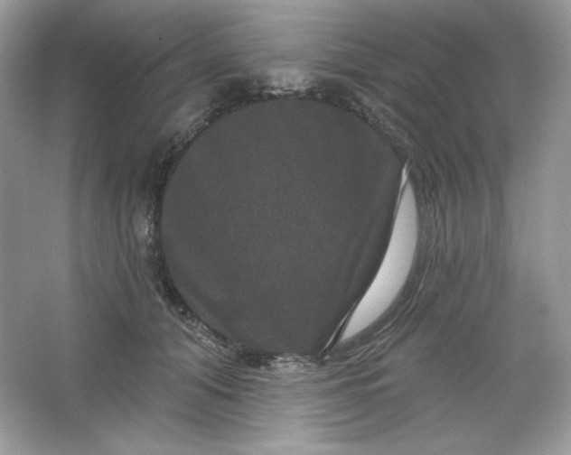 X0000066010608200603171508