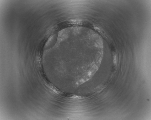 X0000066010609200603171508