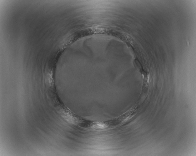 X0000066010610200603171508