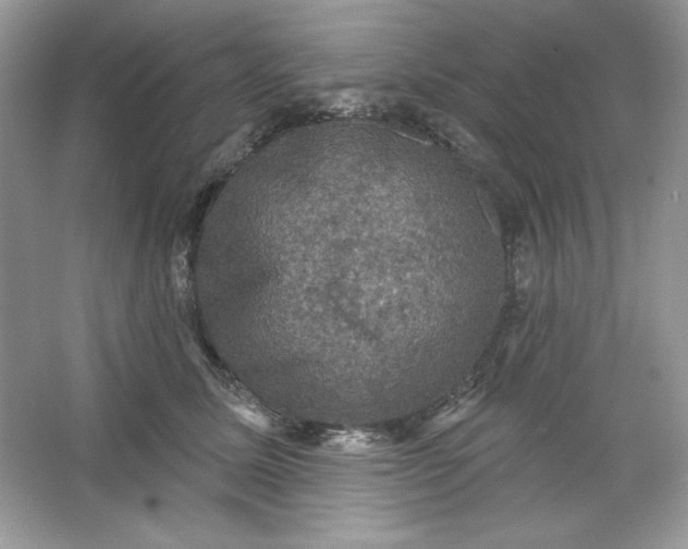 X0000066010611200603171507