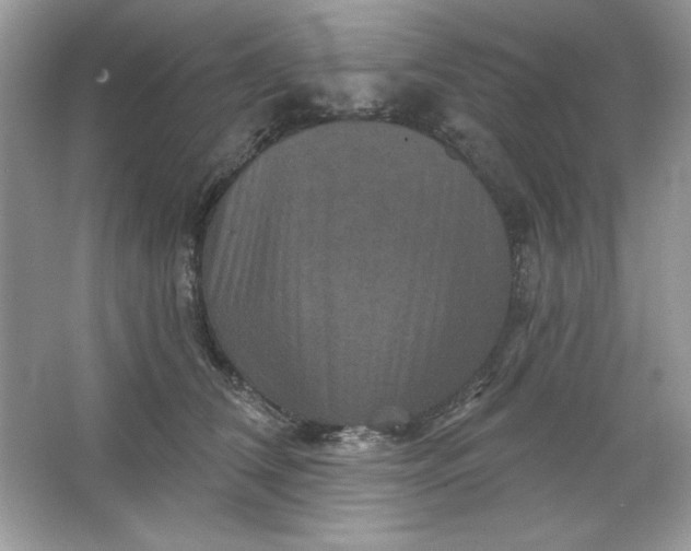 X0000066010612200603171507