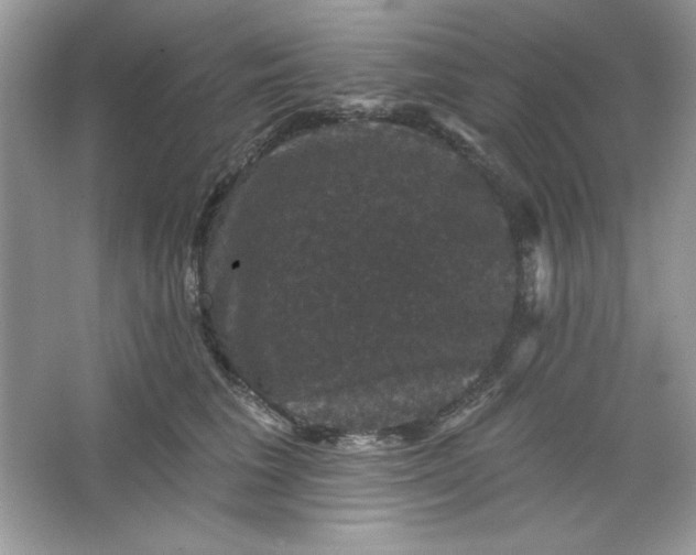 X0000066010613200603171507