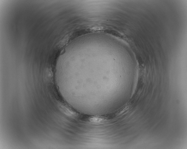 X0000066010614200603171507