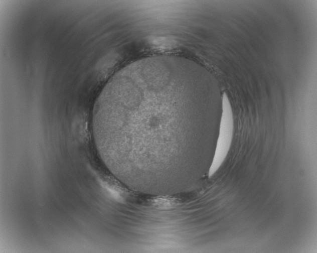 X0000066010615200603171507