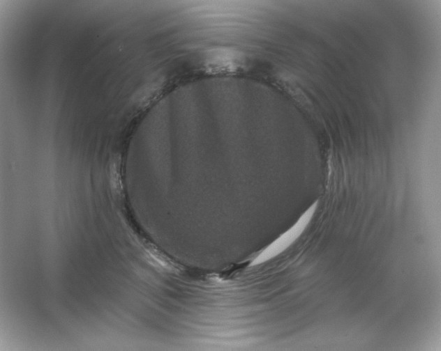 X0000066010616200603171507