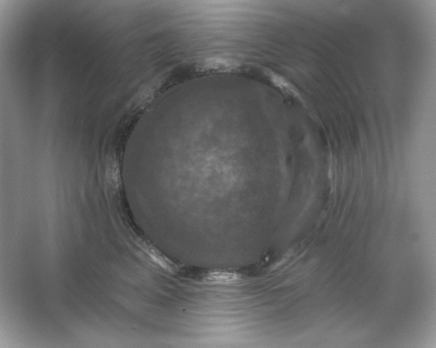 X0000066010617200603171507