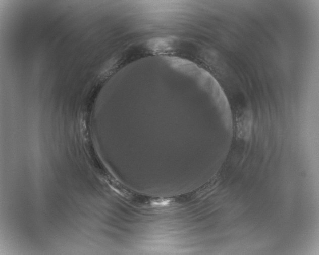 X0000066010618200603171507