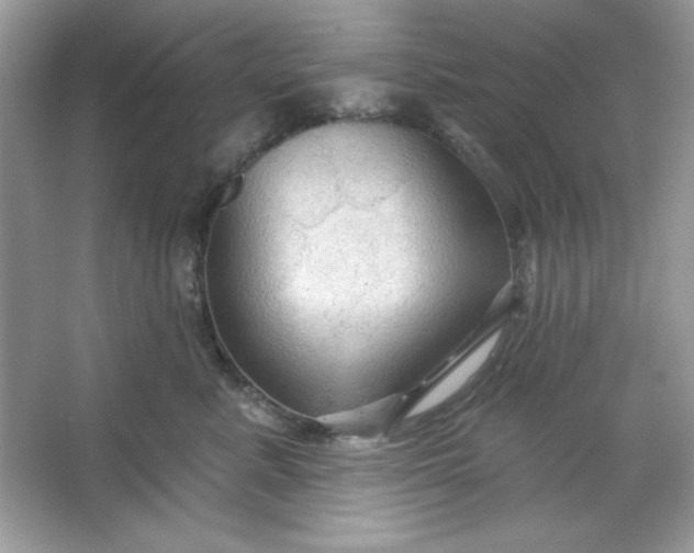 X0000066010619200603171507