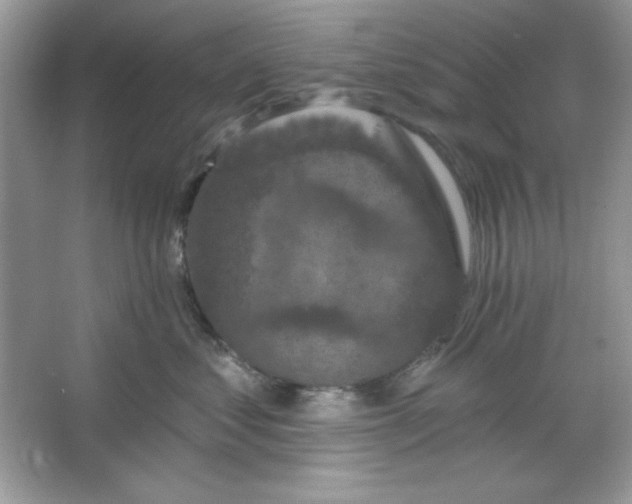 X0000066010621200603171507