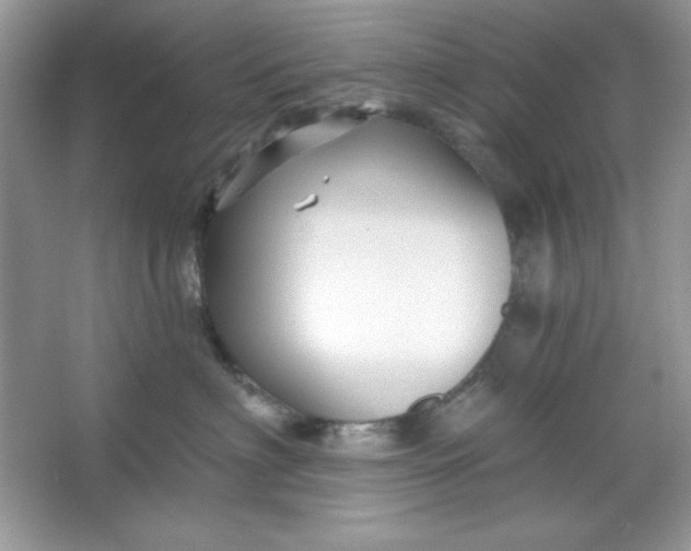 X0000066010622200603171507