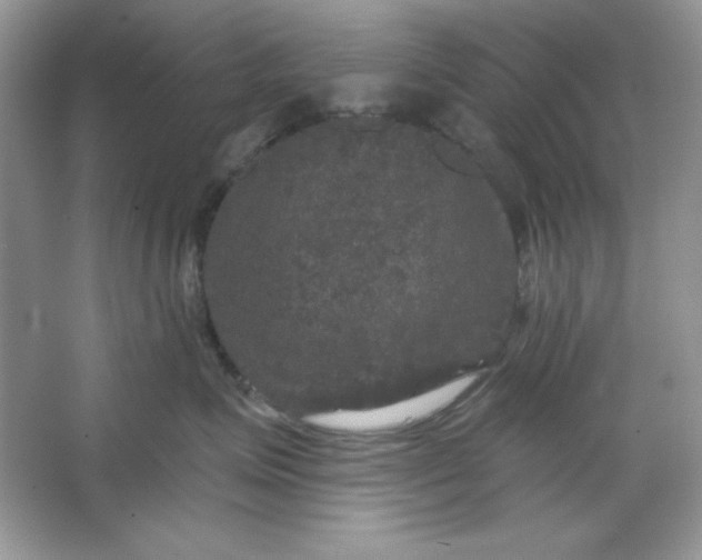 X0000066010623200603171507